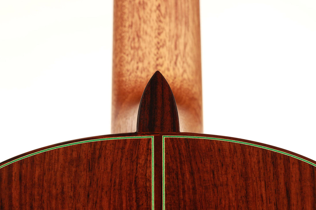 Roy Fankhänel - 2019 RF 197 64cm