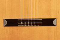 Sergio Abreu - 2011