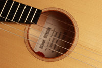 Simon Burgun - 2019 Stauffer model