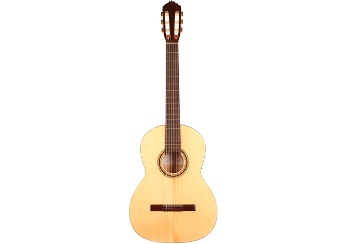Steven den Toom - 2018 Maple