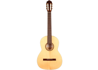 Steven den Toom - 2018 Maple