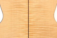Steven den Toom - 2018 Maple