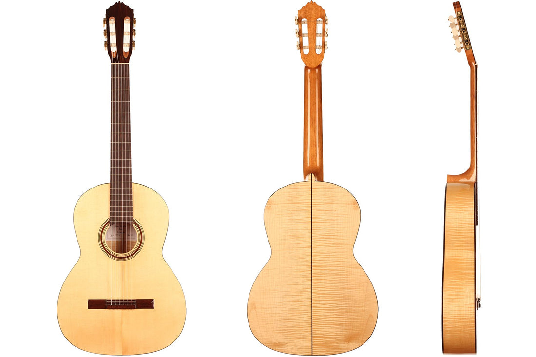 Steven den Toom - 2018 Maple