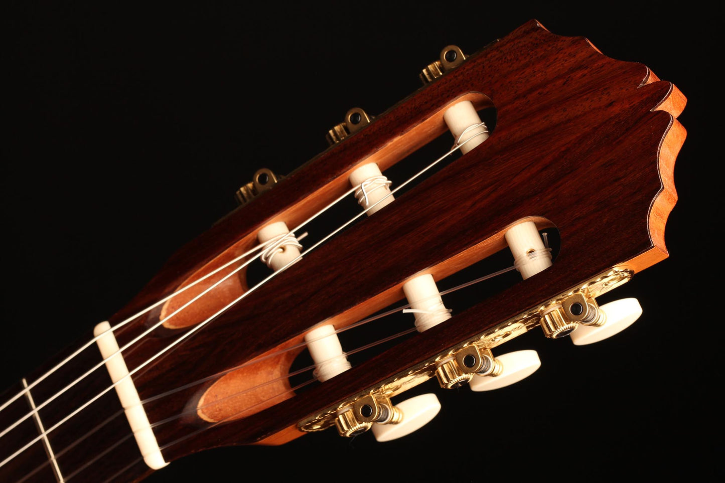 Steven den Toom - 2018 Maple