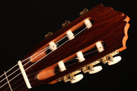 Steven den Toom - 2018 Maple