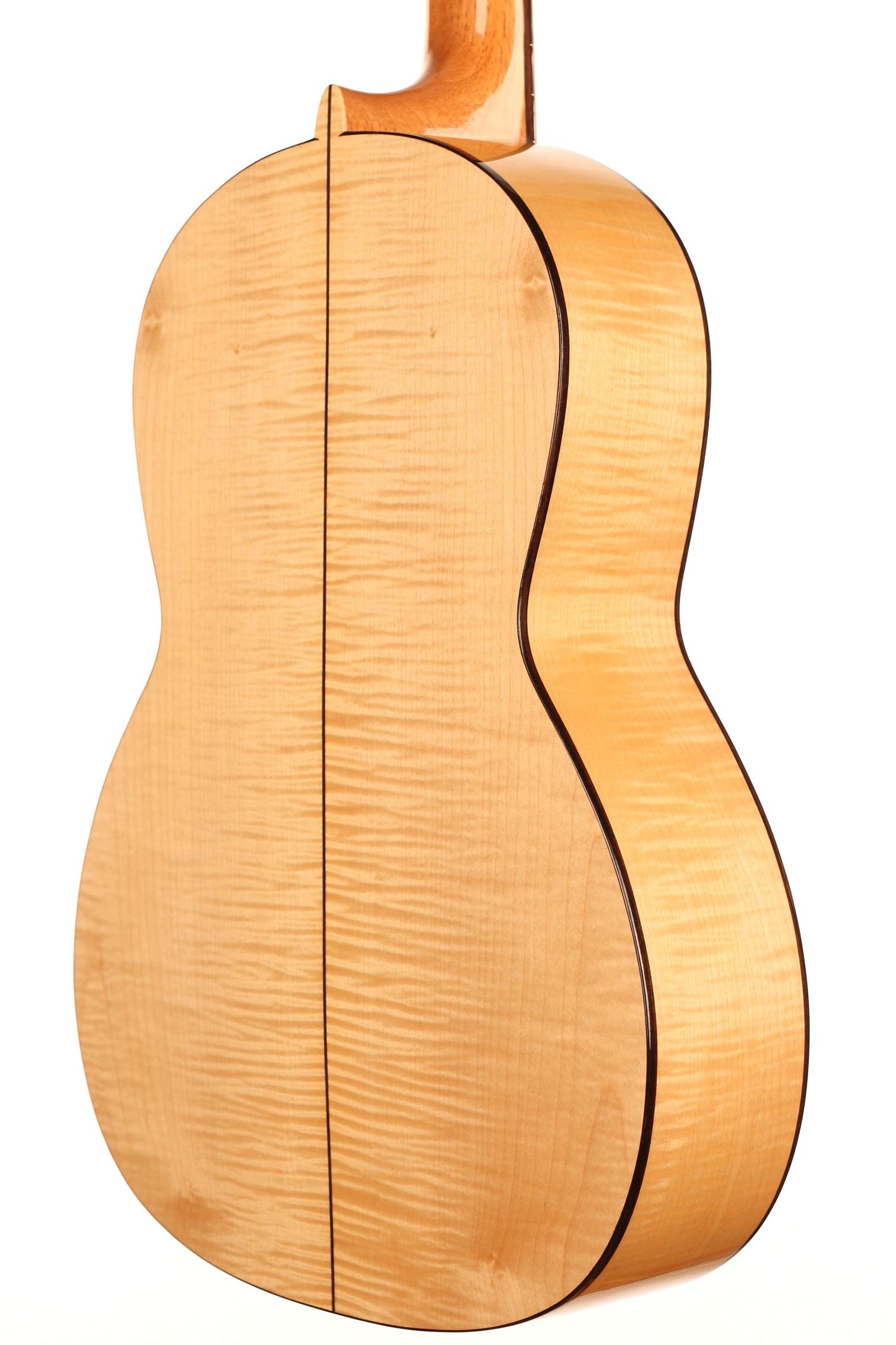 Steven den Toom - 2018 Maple