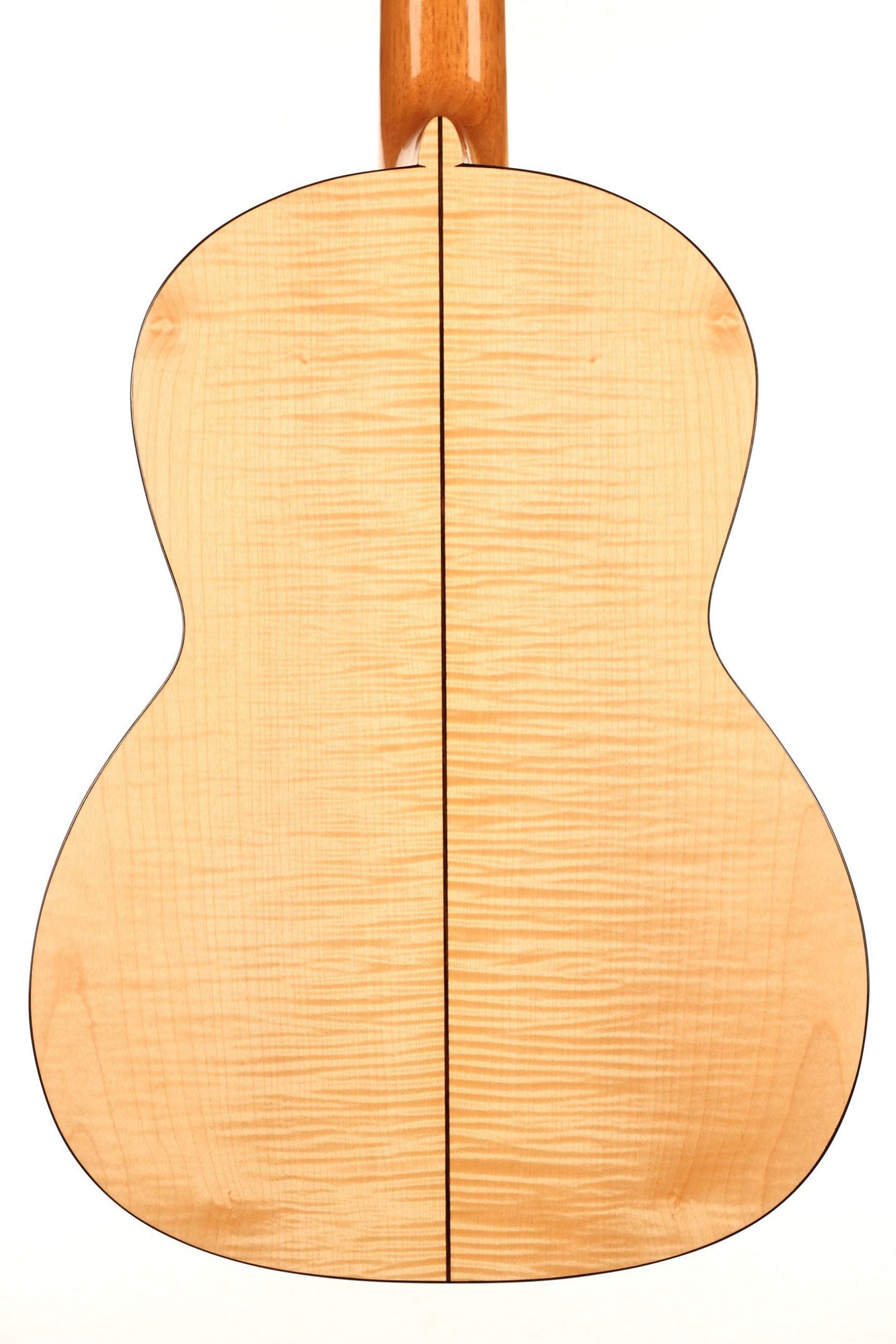 Steven den Toom - 2018 Maple