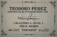 Teodoro Pérez  - Concierto 2017