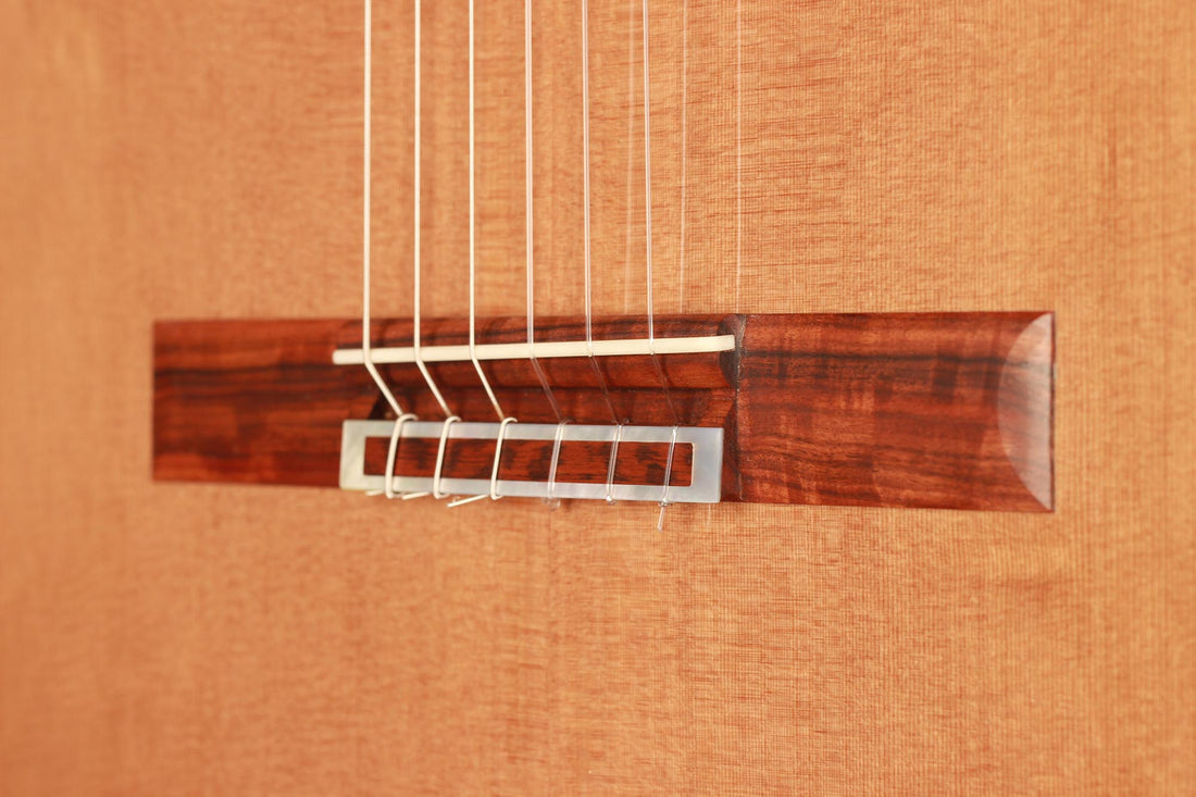 Thomas Ochs - 2019 Doubletop
