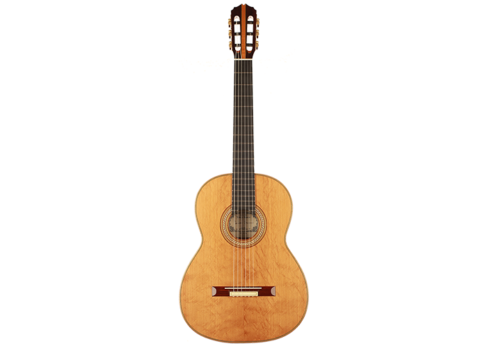 Tobias Braun - 2019 "Santos Hernandez 1924"