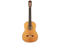 Tobias Braun - 2019 "Santos Hernandez 1924"