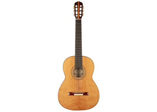 Tobias Braun - 2019 "Santos Hernandez 1924"