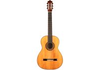 Vicente Arias - 1911