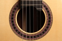 Wolfgang Jellinghaus - "Signature Doubletop" 64 cm