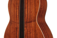 Wolfgang Jellinghaus - "Signature Doubletop" 64 cm