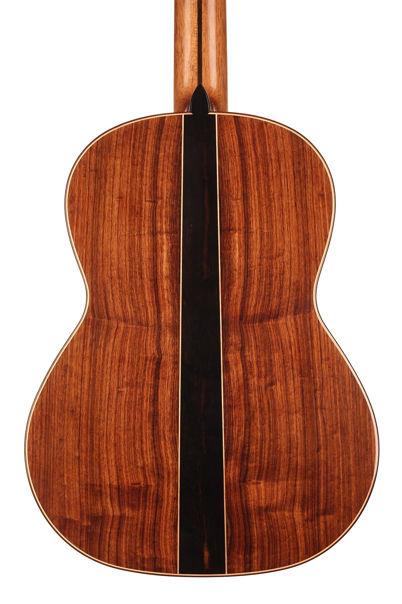 Wolfgang Jellinghaus - "Signature Doubletop" 64 cm