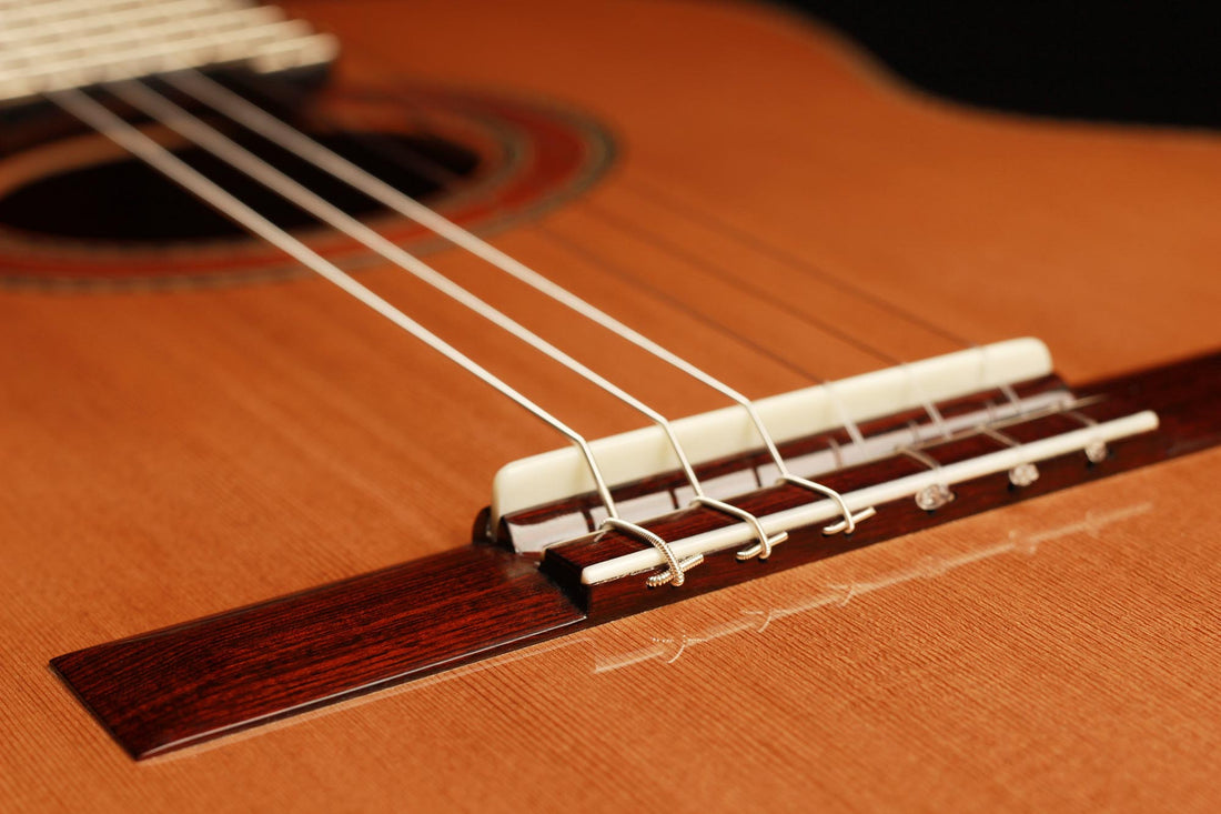 Wolfgang Jellinghaus - "Signature Doubletop" Zeder