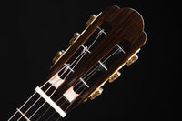 Yulong Guo - 2020 Chamber Concert Doubletop No.37
