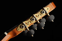 Yulong Guo - 2020 Chamber Concert Doubletop No.37