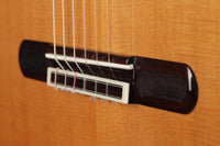 Yulong Guo - 2020 Chamber Concert Doubletop No.37