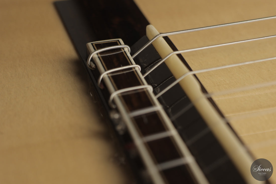 Adrian Neher - 2026 No. 20