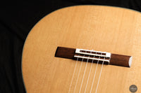 Alessandro Perciaccante - 2024 No. 14