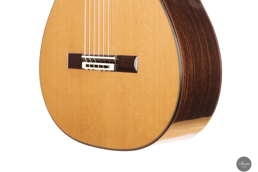 Alessandro Perciaccante - 2025 - No.19