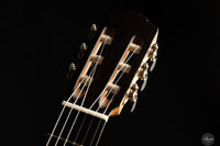 Alessandro Perciaccante - 2025 - No.19