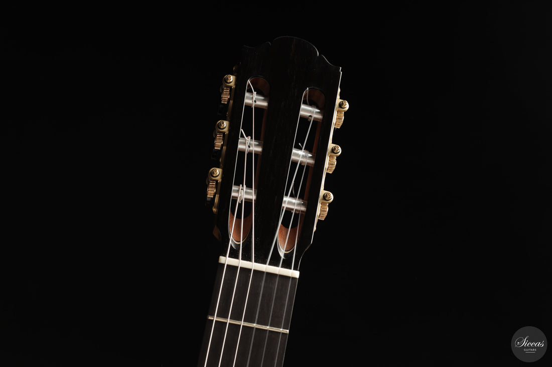 Alessandro Perciaccante - 2026 No. 22 64 cm