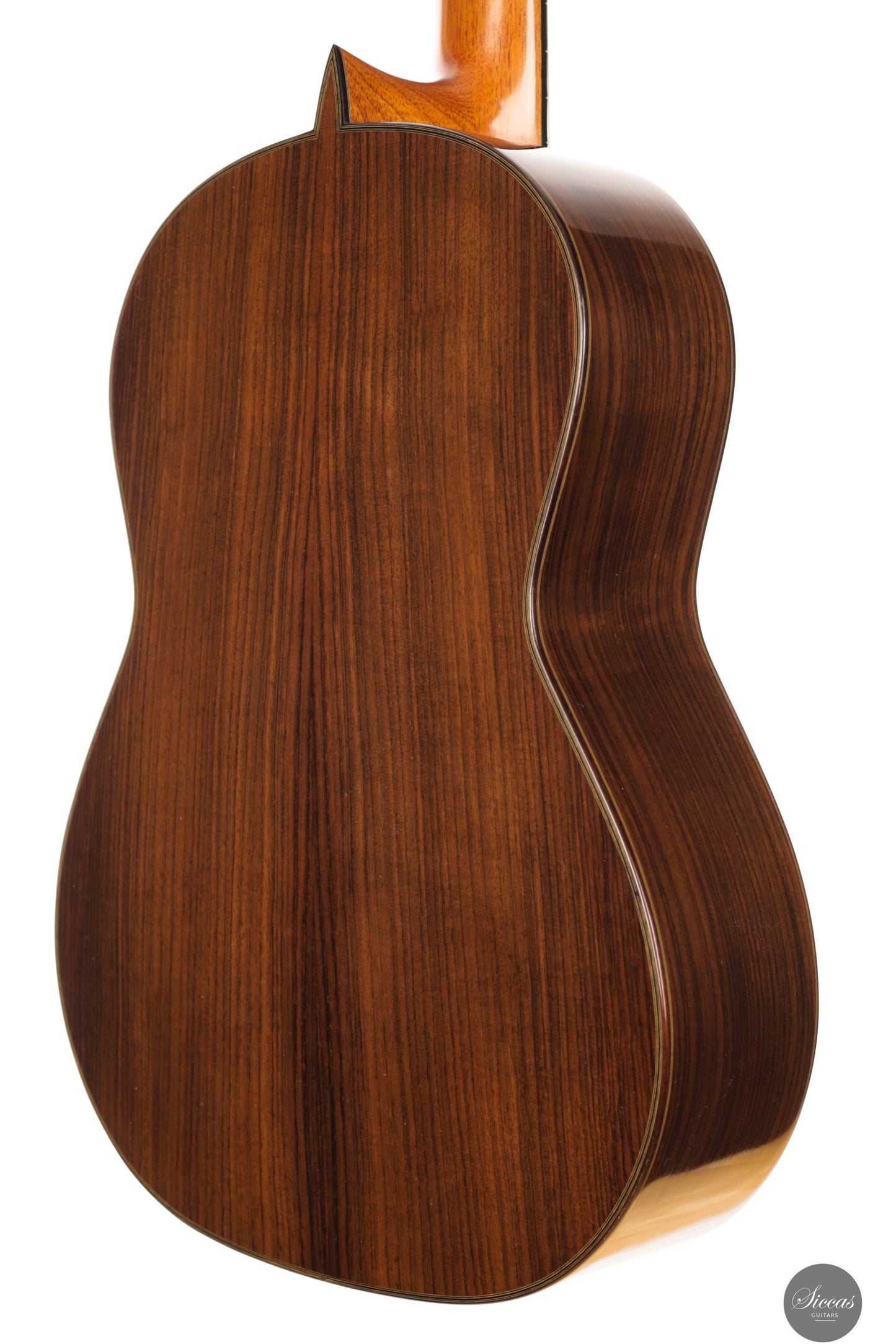 Andrea Tacchi - 2000 Coclea No. 235