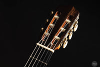 Andrea Tacchi - 2000 Coclea No. 235