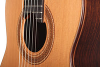 Andrés D. Marvi – 2010