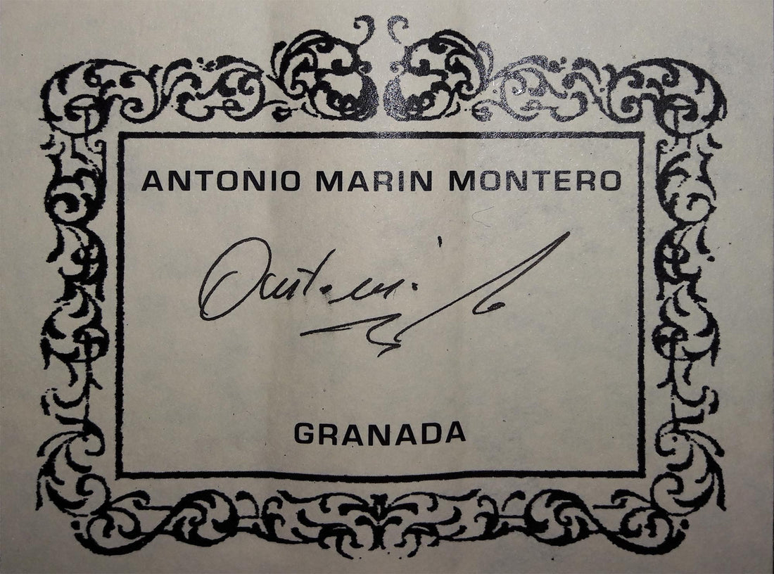 Antonio Marin Montero – 2017 CF