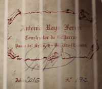 Antonio Raya Ferrer - 2016