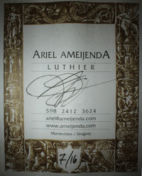 Ariel Ameijenda - 2016