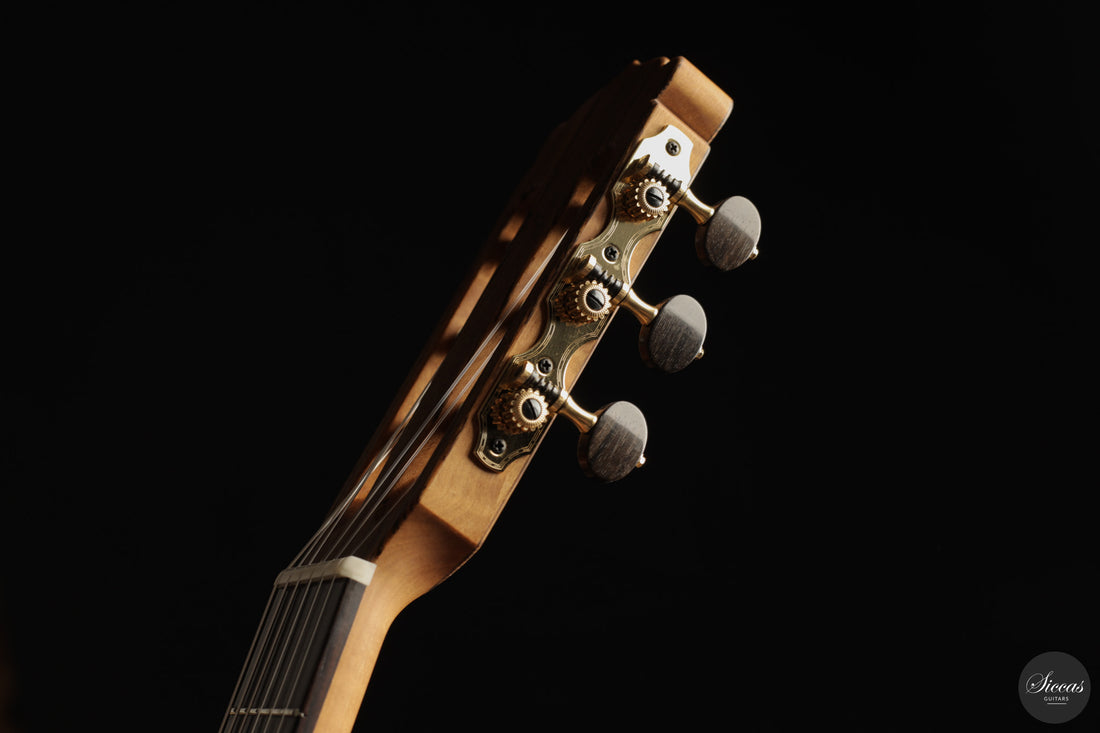 Armin Hanika - 2026 New Century-Lattice Custom
