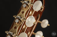 Armin Hanika - HE Doubletop N