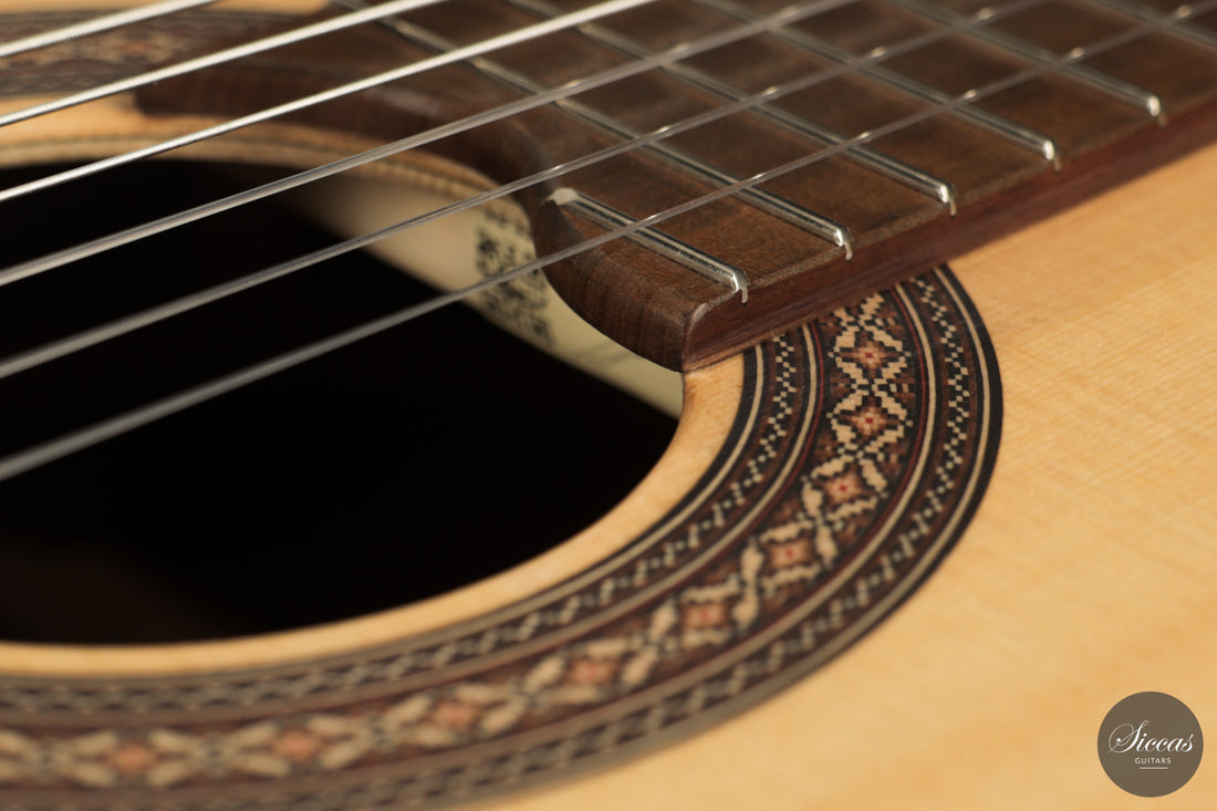 Armin Hanika - HE Doubletop N