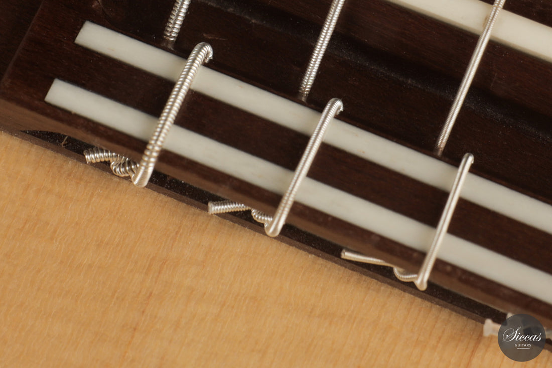 Armin Hanika - HE Doubletop N