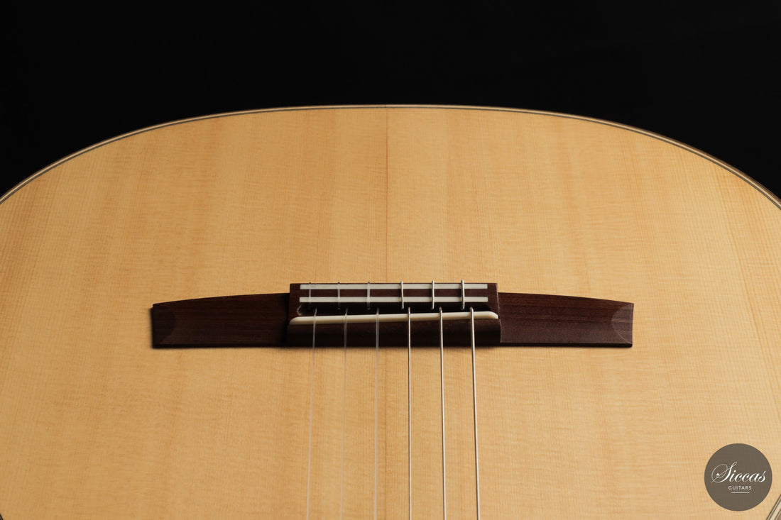 Armin Hanika - HE Doubletop N