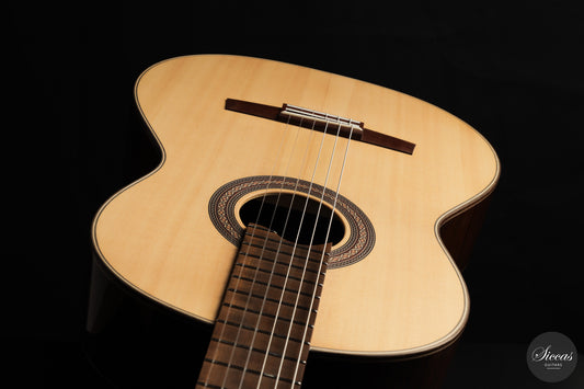 Armin Hanika - HE Doubletop N