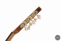 Armin Hanika - HE Doubletop N