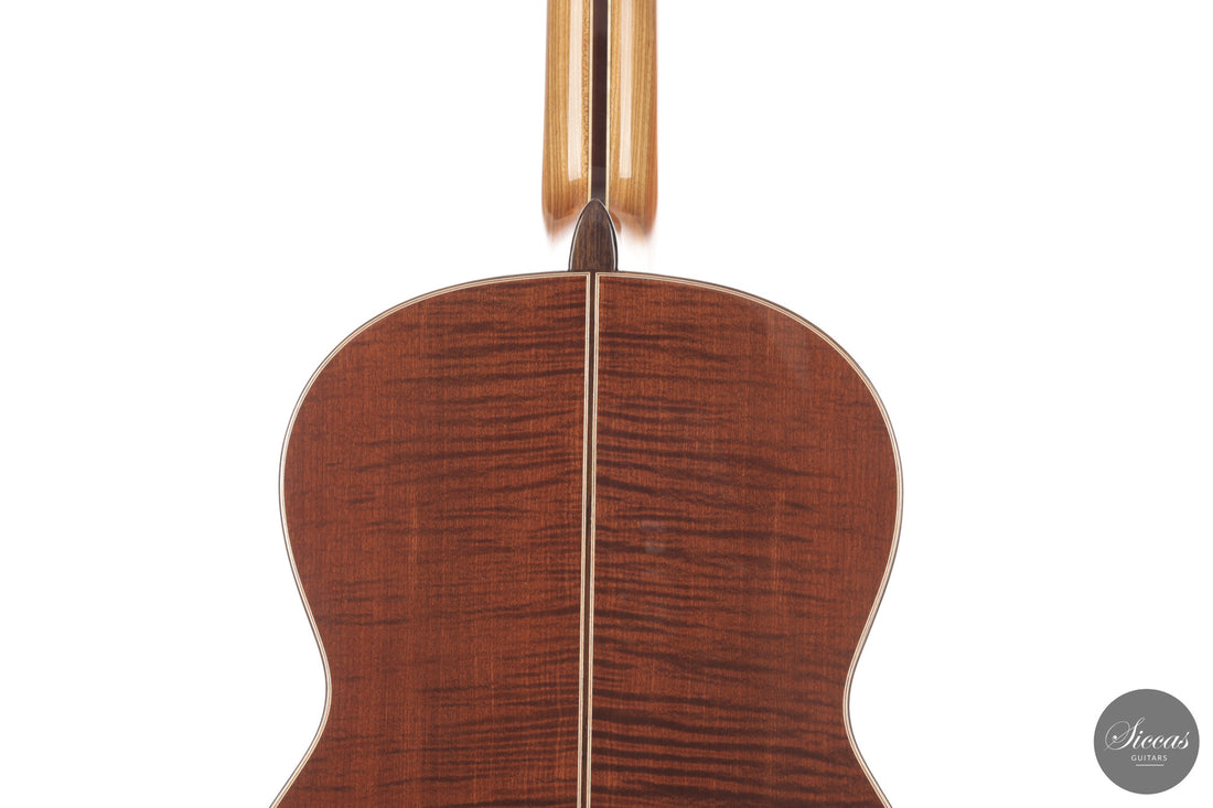 Armin Hanika - HE Doubletop N