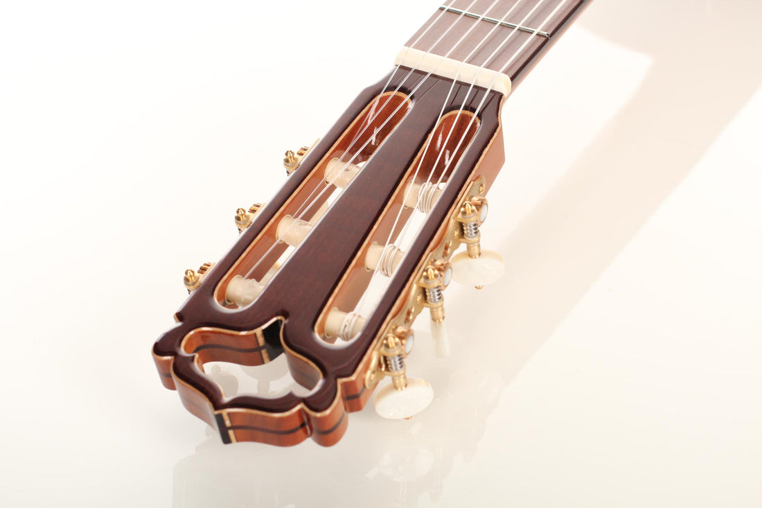 Armin Hanika - HE Doubletop N - Neck and tuner