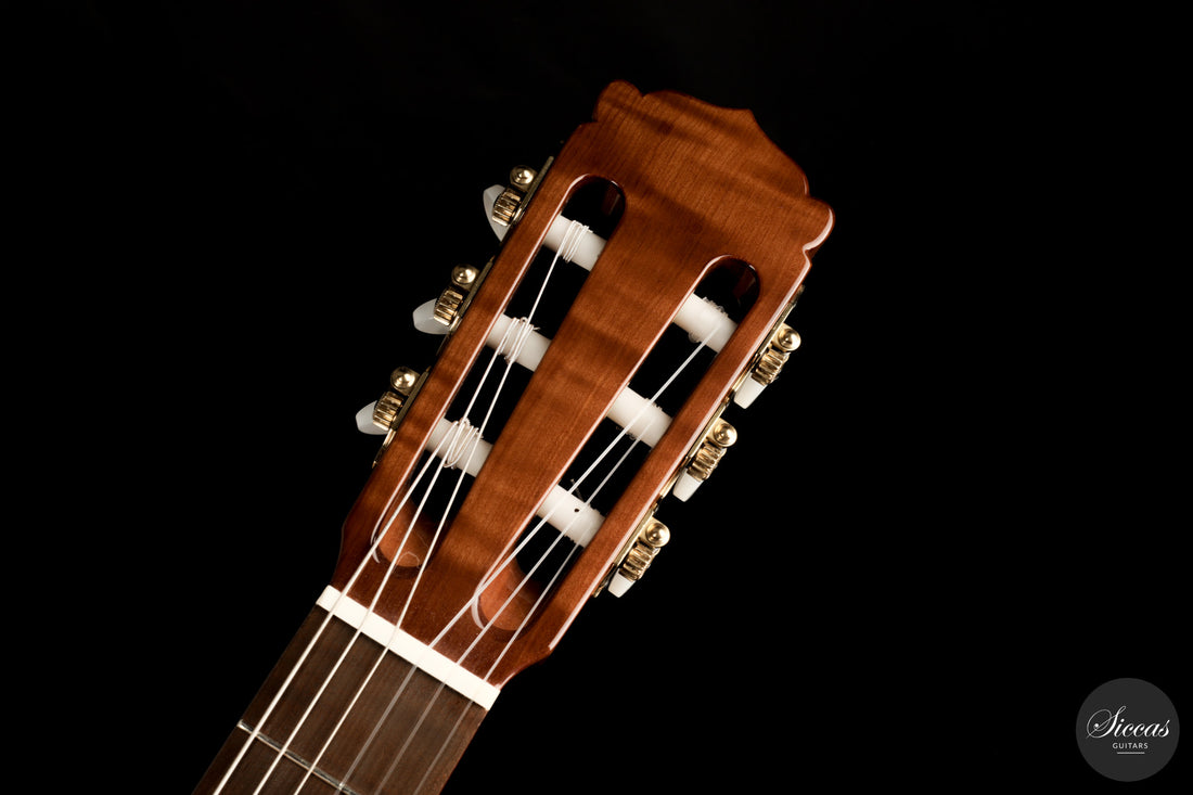 Armin Hanika - 2024 58 Lattice EF-N