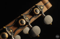 Armin Hanika - 2026 Natural Doubletop Custom Chechen