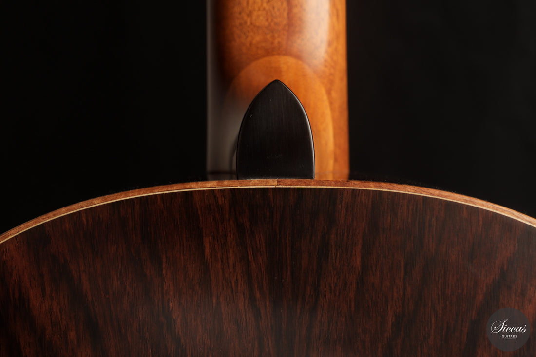 Ashley Sanders - 2026 - No. 77