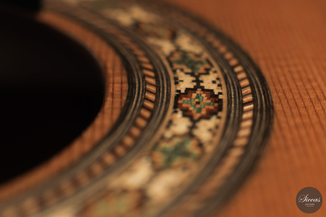 Ashley Sanders - 2026 - No. 77