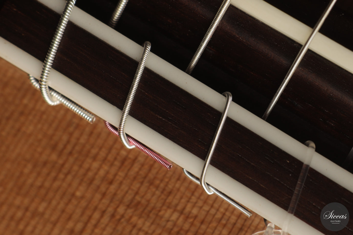 Ashley Sanders - 2026 - No. 77