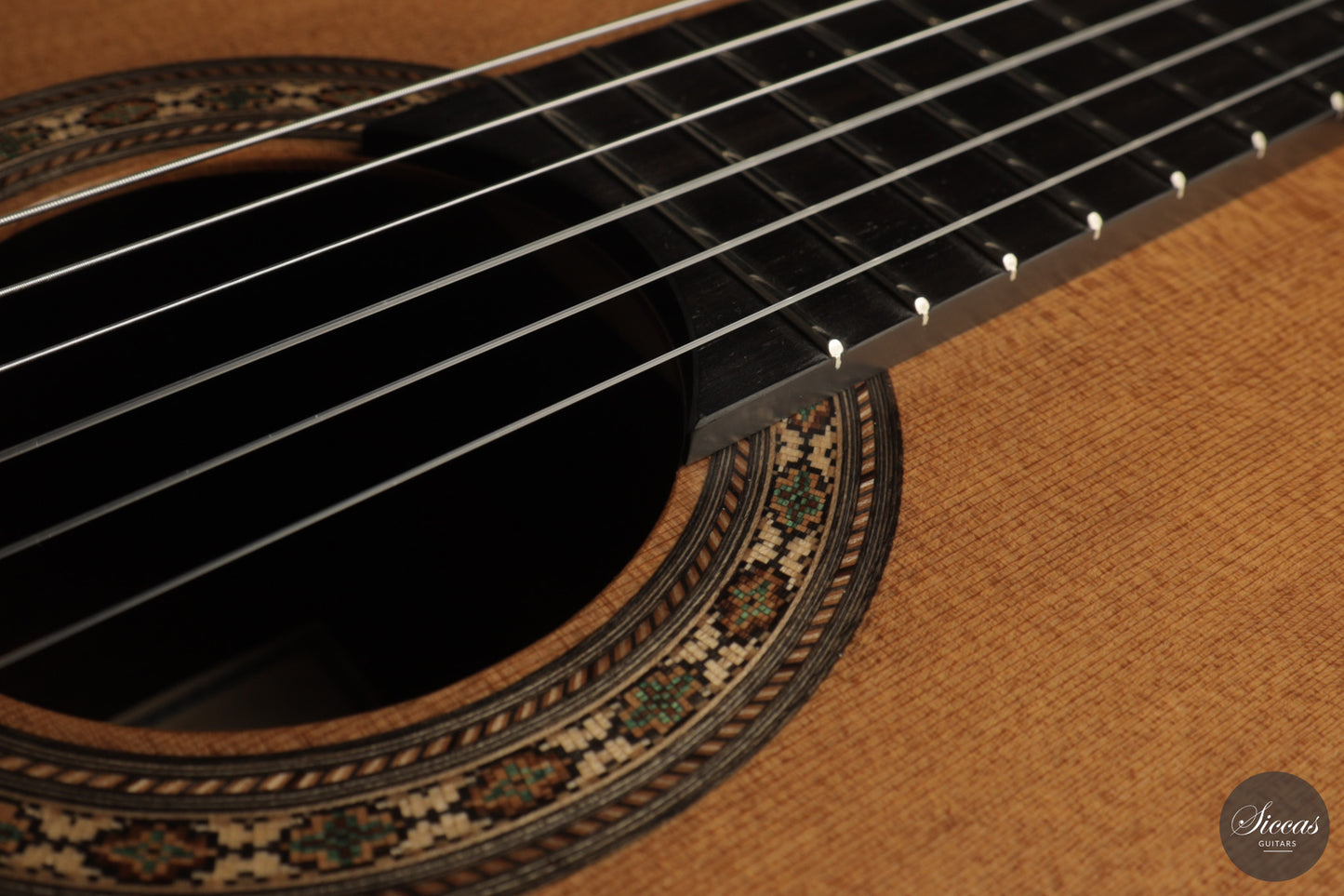 Ashley Sanders - 2026 - No. 77